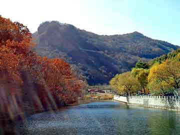 新澳天天开奖资料大全旅游团，万圣节鬼故事